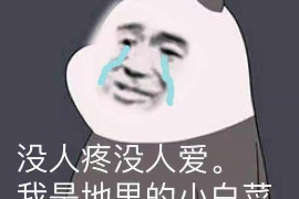 临朐临朐专业催债公司，专业催收